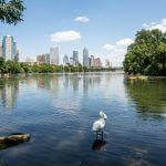Austin Texas Lady Bird Lake Profile