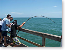 Things to do in Corpus Christi: Go fishing