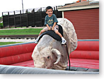 Bull Riding At The Fort Worth Stockyards