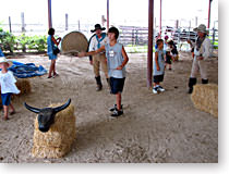 Learning To Rope In The Fort Worth Stockyards