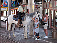 Fort Worth Stockyards: A Horse In Stockyards Station
