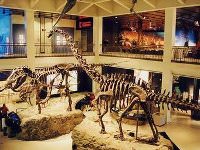 Things to do in Houston: Visit HMNS