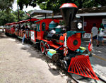 Things to do in New Braunfels Texas: Visit Landa Park