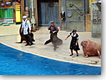 Sea Lion show at SeaWorld San Antonio