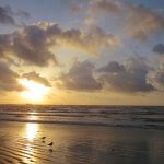 Port Aransas Beach Profile