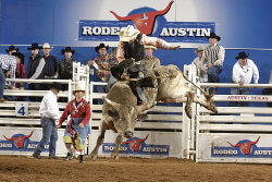Rodeo Austin: Bull Riding