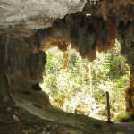 Westcave Preserve Profile