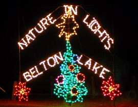 nature in lights - christmas light display