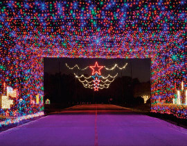 rock n lights - christmas light displays