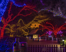 zoo lights houston - christmas light displays