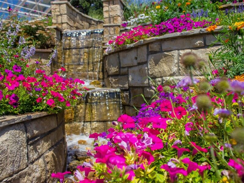 amarillo-botanical-gardens Amarillo-Botanical-Gardens