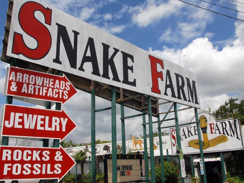 Snake-Farm-New-Braunfels
