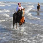 324 South Padre Island Adventure Park Profile