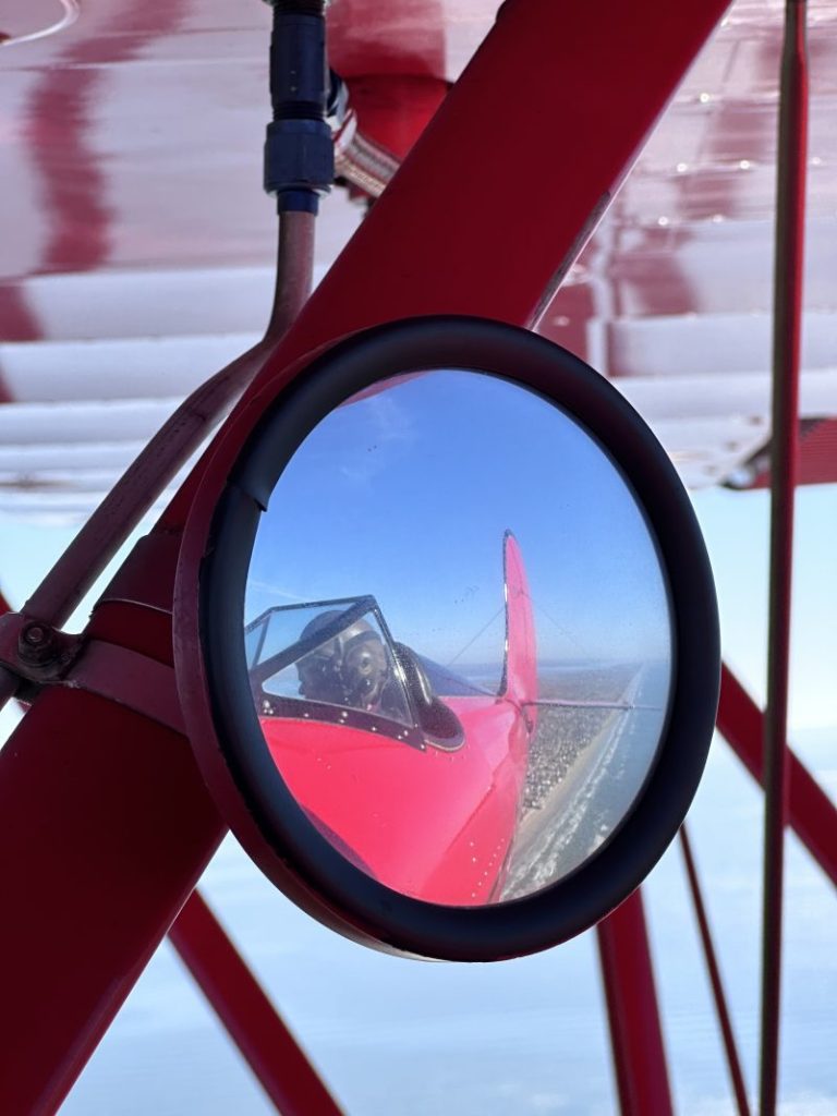 2023 Scallywag Ymf Rearview 768X1024